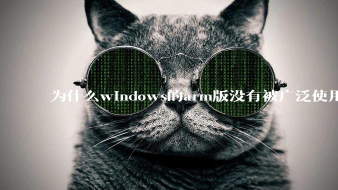 为什么windows的arm版没有被广泛使用？