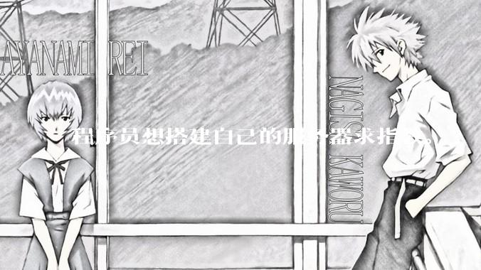 程序员想搭建自己的服务器求指教。?