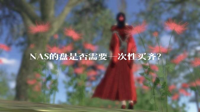 NAS的盘是否需要一次性买齐？