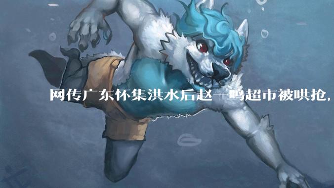 网传广东怀集洪水后赵一鸣超市被哄抢，县***回应相关单位正在核实，若属实哄抢者该承担哪些法律责任？