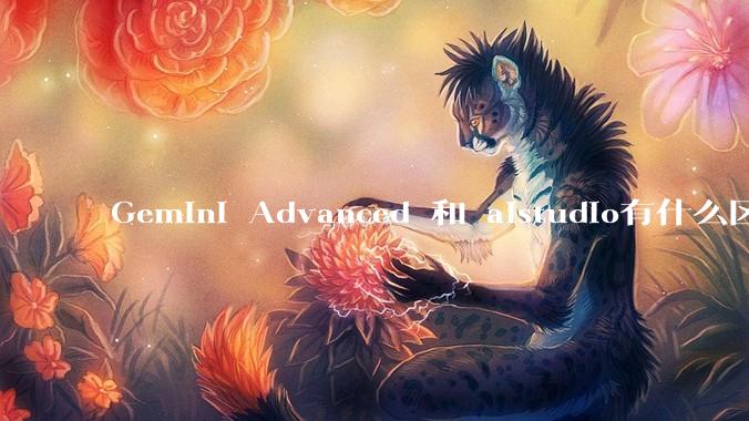 Gemini Advanced 和 aistudio有什么区别？
