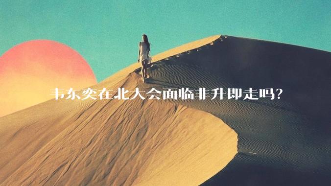 韦东奕在北大会面临非升即走吗？