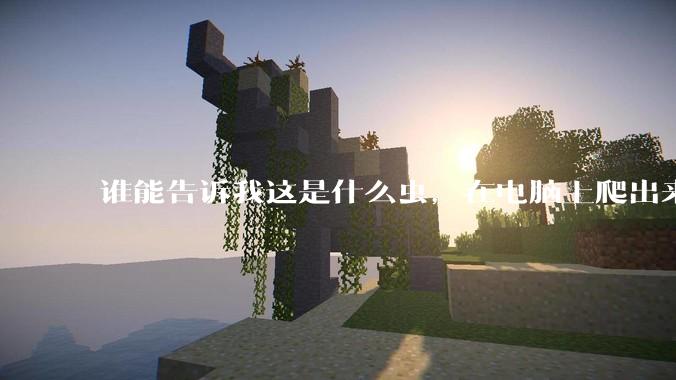 谁能告诉我这是什么虫，在电脑上爬出来吓死我了 ?